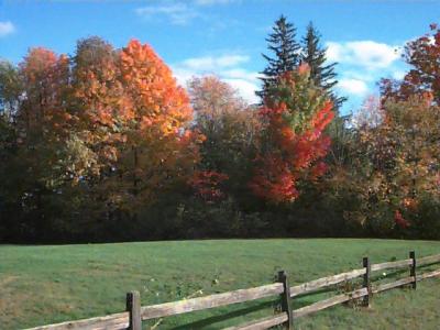 Fence, field, &amp; fall colors